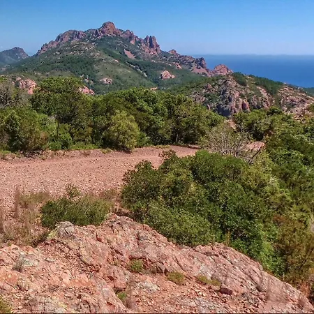 Appartement R1d Les Pléiades De L'estérel - Agay Saint-Raphaël